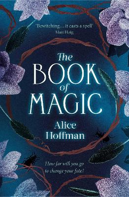 Book of Magic, Volume 4