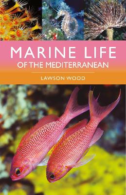 Marine Life of the Mediterranean 2nd edition