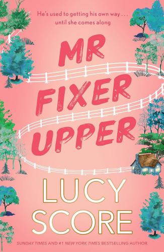 Mr Fixer Upper: the new romance from the 2023 bestselling Tiktok sensation!