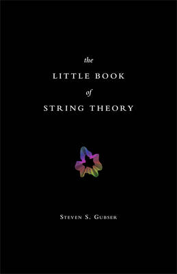 Little Book of String Theory
