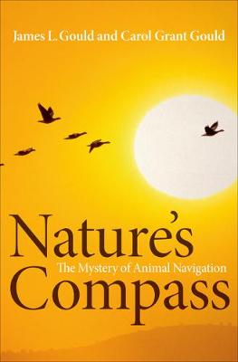 Nature's Compass: The Mystery of Animal Navigation