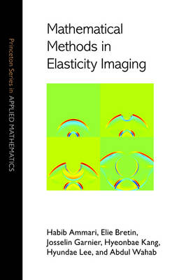 Mathematical Methods in Elasticity Imaging