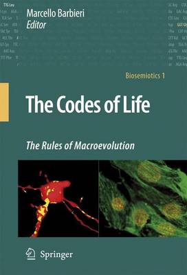 Codes of Life: The Rules of Macroevolution