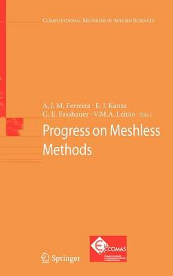 Progress on Meshless Methods 2009 ed.