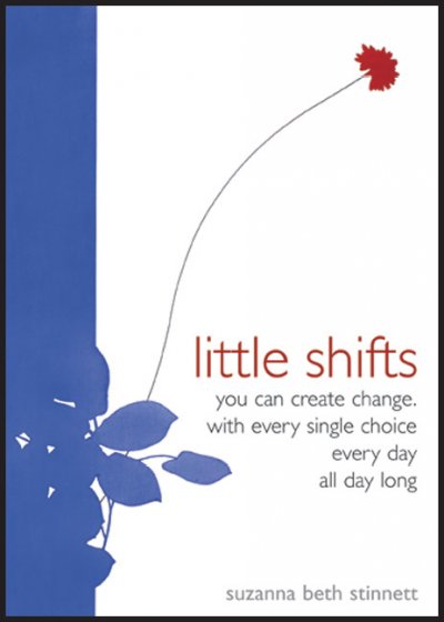 Little Shifts: You Can Create Change with Every Single Choice Every Day All Day Long