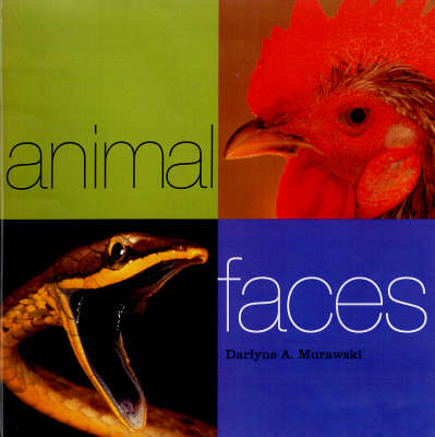 Animal Faces