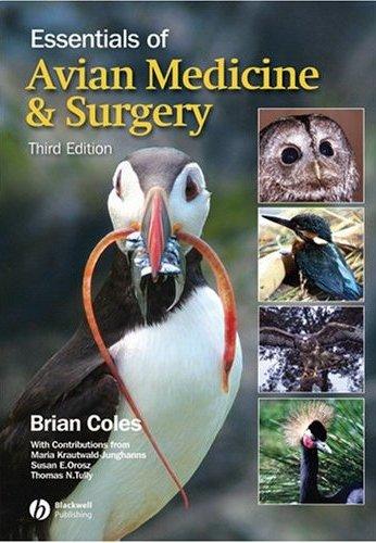 Essentials of Avian Medicine and Surgery 3e 3rd Edition