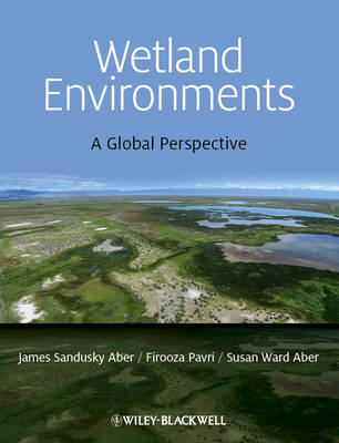 Wetland Environments - A Global Perspective: A Global Perspective