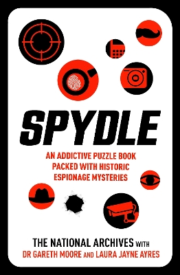 Spydle: The latest puzzling phenomenon which promises to perplex and delight