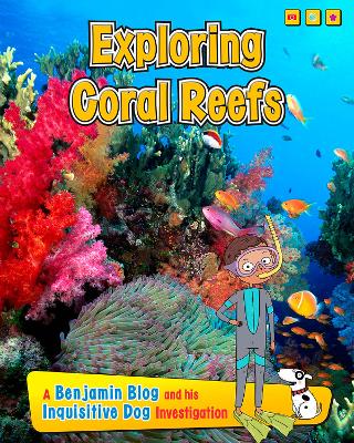 Exploring Coral Reefs: A Benjamin Blog and His Inquisitive Dog Investigation