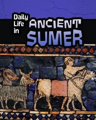 Daily Life in Ancient Civilizations Pack B of 4