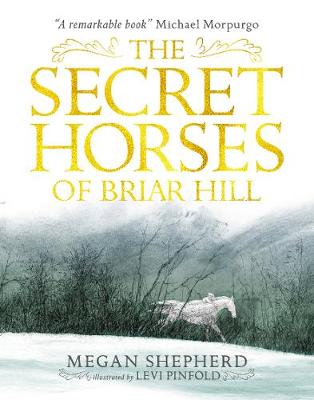 Secret Horses of Briar Hill