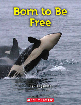 Born to be Free