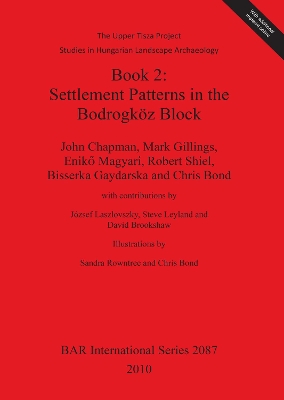 Upper Tisza Project. Studies in Hungarian Landscape Archaeology. Book 2:  Settlement Patterns in the Bodrogköz Block: The Upper Tisza Project. Studies in Hungarian Landscape Archaeology.