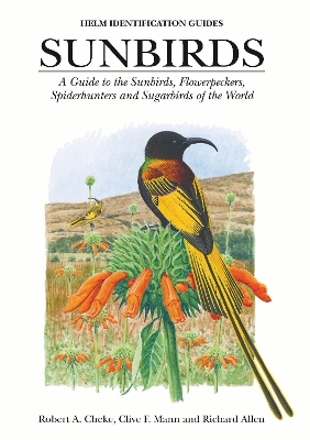 Sunbirds: A Guide to the Sunbirds, Flowerpeckers, Spiderhunters and Sugarbirds of the World