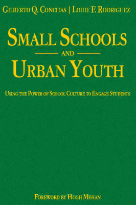 Small Schools and Urban Youth: Using the Power of School Culture to Engage Students