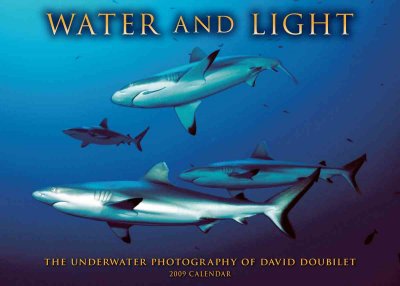 Water and Light 2009 Calendar WAL