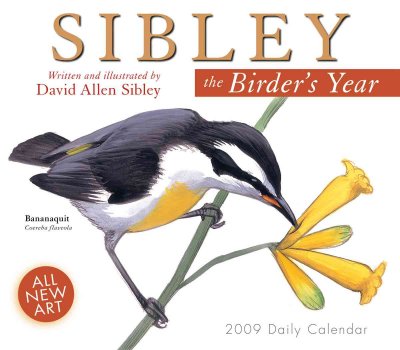 Sibley Calendar: The Birder's Year illustrated edition