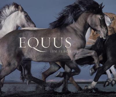 Equus (Mini) New edition