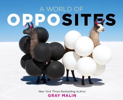 World of Opposites