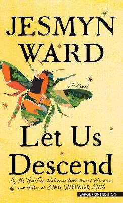 Let Us Descend Large type / large print edition