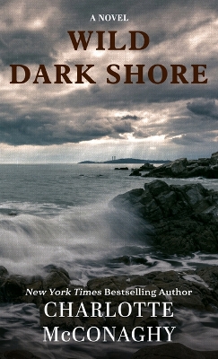 Wild Dark Shore Large type / large print edition