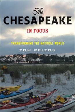 Chesapeake in Focus