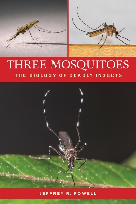 Three Mosquitoes: The Biology of Deadly Insects