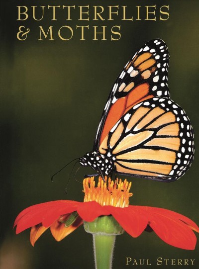 Butterflies & Moths