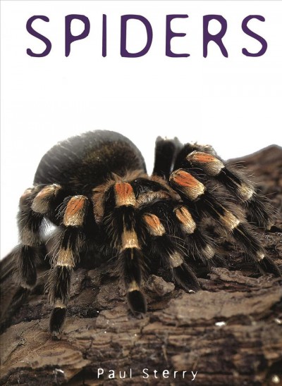 Spiders