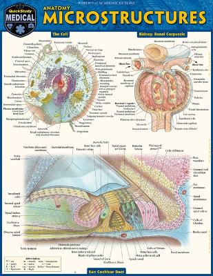 Anatomy Microstructures: A Quickstudy Laminated Reference Guide First Edition, New Edition, Updated & Revised ed.