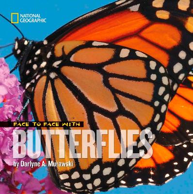 Face to Face with Butterflies