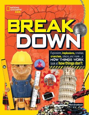 Break Down!: Explosions, Implosions, Crashes, Crunches, Cracks, and More  a How Things  Work Look at How Things Break