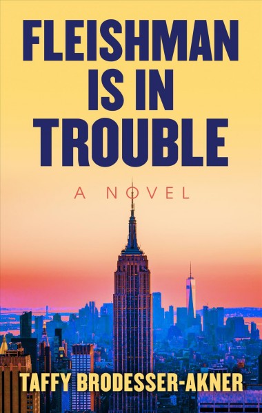 Fleishman Is in Trouble Large type / large print edition