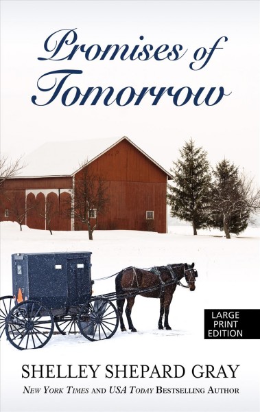 Promises of Tomorrow Large type / large print edition