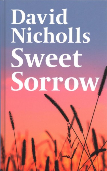 Sweet Sorrow Large type / large print edition