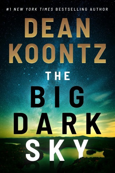 Big Dark Sky Large type / large print edition