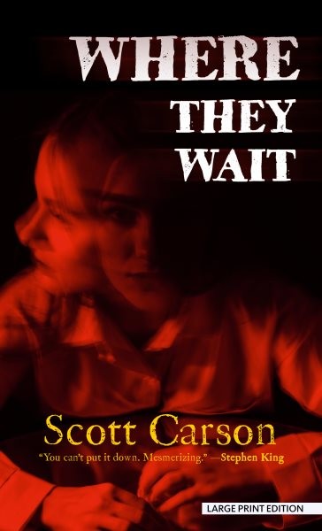 Where They Wait Large type / large print edition