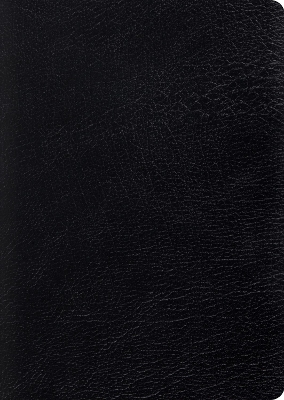 ESV Study Bible, Large Print