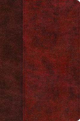 ESV Gospel Transformation Study Bible:: Christ in All of Scripture, Grace for All of Life®