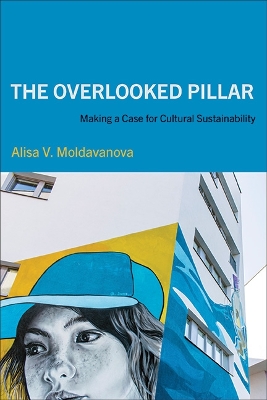 Overlooked Pillar: Making a Case for Cultural Sustainability