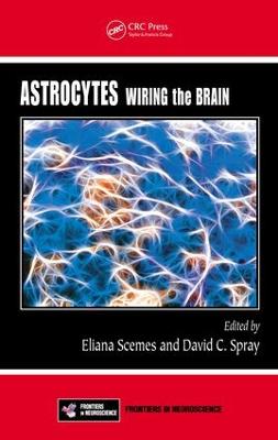 Astrocytes: Wiring the Brain