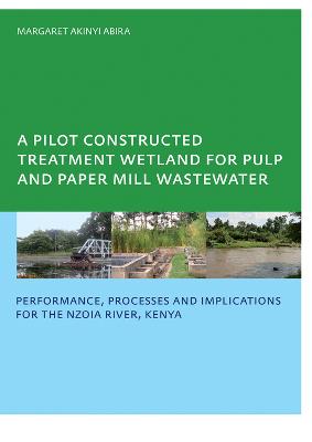 Pilot Constructed Treatment Wetland for Pulp and Paper Mill Wastewater: Performance, Processes and Implications for the Nzoia River, Kenya, UNESCO-IHE PhD