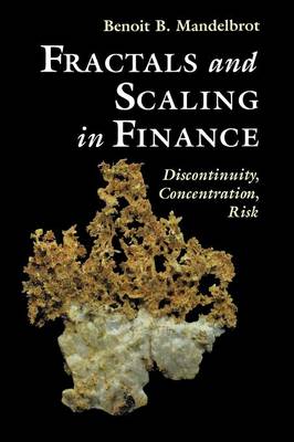 Fractals and Scaling in Finance: Discontinuity, Concentration, Risk. Selecta Volume E Softcover reprint of hardcover 1st ed. 1997