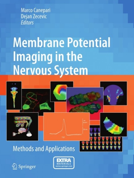 Membrane Potential Imaging in the Nervous System: Methods and Applications