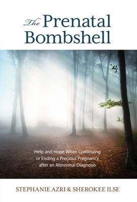 Prenatal Bombshell: Help and Hope When Continuing or Ending a Precious Pregnancy After an  Abnormal Diagnosis