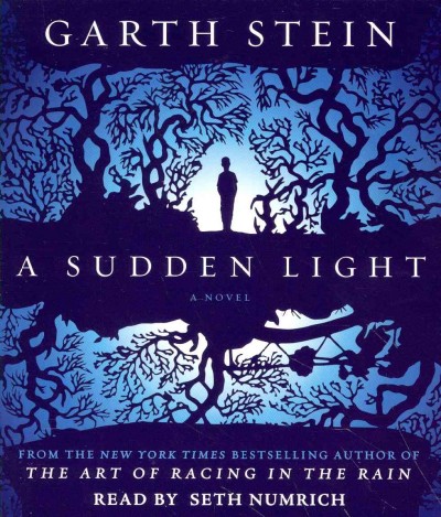 Sudden Light