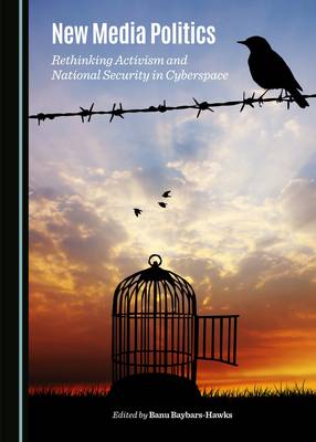 New Media Politics: Rethinking Activism and National Security in Cyberspace