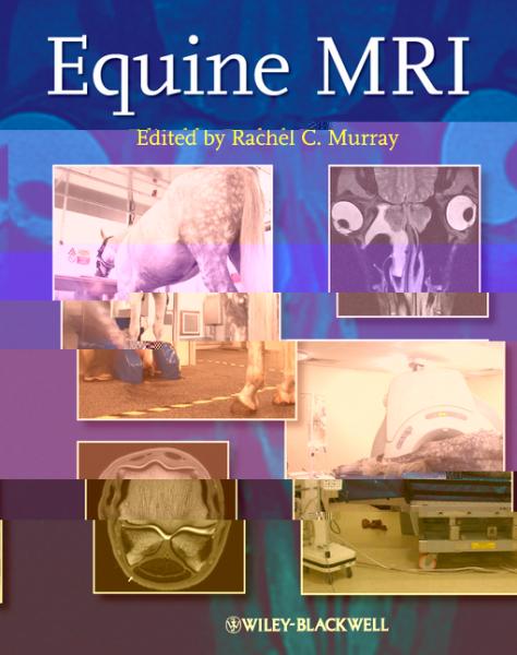 Equine MRI