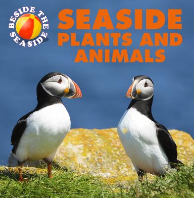 Beside the Seaside: Seaside Plants and Animals Illustrated edition